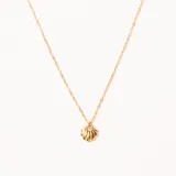 Colgante dorado con cadena fina y dije en forma de concha marina, con una pequeña piedra brillante en el centro.