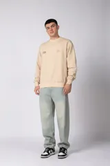 Buzo de cuello redondo en color arena, con diseño de calce regular y estampado gráfico minimalista en el pecho. Presenta puños y ruedo acanalados, con un pequeño detalle de etiqueta en el puño izquierdo.