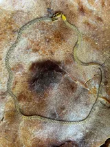 Gargantilla dorada tipo panterina elaborada en plata 925 con baño de oro.