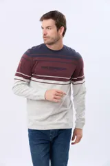 Remera de manga larga con diseño de rayas horizontales en tonos azul marino, bordó y gris. Presenta cuello redondo y un bordado en relieve en el pecho con la inscripción Legacy Established Brand.