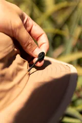 Sombrero tipo pescador color beige con ala ancha, cordón ajustable y parche con logo de la marca Denali.