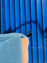 Necessaire azul y marrón con grifa de goma, detalles de cordón, cierre y bolsillo transparente interior.