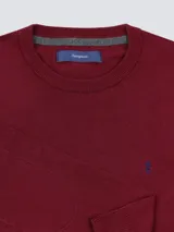 Buzo gris oscuro de algodón liviano, con cuello redondo y logo bordado en el pecho.
