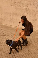 Botas de caña media color negro, 100% de cuero, con taco forrado en cuero con estampado de serpiente.