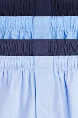 Pack de cuatro calzoncillos tipo boxer de algodón suave, con cintura elástica y bragueta con botones. Incluye dos unidades en azul marino y dos en celeste.