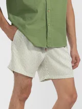 Short de baño para hombre con estampado de rayas verticales celestes y blancas. Cuenta con cintura elástica con cordón ajustable, bolsillos laterales y un bolsillo trasero. Confeccionado en tejido liviano de secado rápido.