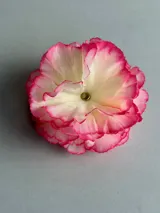 Accesorio para el pelo en forma de flor, con pétalos degradados en tonos blanco y fucsia.