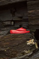 Sandalias de cuero color camel, con plataforma y hebilla dorada.