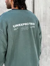 Buzo verde de algodón con cuello redondo, mangas largas y puños acanalados. Presenta un pequeño estampado en el frente y un logo geométrico en el pecho. Corte holgado.