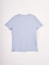 Remera de algodón color celeste, con cuello redondo, mangas cortas y estampa frontal minimalista de macetas con flores.