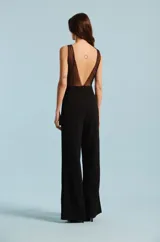 Mono largo negro sin mangas, con escote en V y cuerpo superior de tul transparente con apliques de encaje bordado. Pantalón de corte recto y tiro alto.