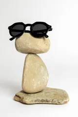 Lentes de sol negros con montura gruesa y forma geométrica.