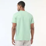 Remera de algodón color verde menta, con cuello redondo y mangas cortas, de corte clásico y liso.