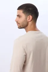 Remera manga larga lisa, color gris claro, con cuello redondo y logo bordado en el pecho.