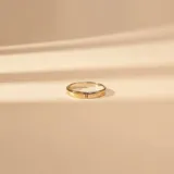 Anillo minimalista de diseño liso, fabricado en una combinación de plata y oro, con una fina línea divisoria vertical en el centro.