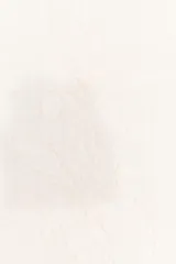 Top blanco de algodón con cuello redondo y sin mangas. Presenta bordados a tono y cierre trasero con abertura y botón.