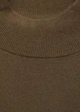 Jersey de punto fino color verde oliva, con cuello perkins, manga larga y diseño recto con terminaciones en canalé.