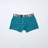 Pack de tres calzoncillos tipo bóxer con cintura elástica negra con inscripción en contraste. Incluye un bóxer azul marino con estampado de rodajas de kiwi, un bóxer liso en color turquesa y un bóxer verde verdoso con estampado de bananas.