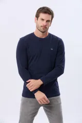 Remera manga larga lisa, color gris claro, con cuello redondo y logo bordado en el pecho.