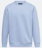 Buzo masculino de fleece color celeste, cuello redondo, manga larga y diseño liso con puños y barra ajustados.
