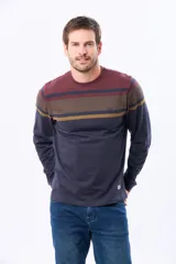 Remera de manga larga con cuello redondo, diseño a rayas horizontales en tonos beige, verde oscuro y gris. Confeccionada en algodón y poliéster.