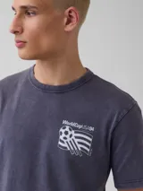 Remera de algodón con efecto lavado, color gris oscuro, de corte clásico y manga corta. Presenta un estampado gráfico en el pecho con el logo de la Copa Mundial de la FIFA USA 94.