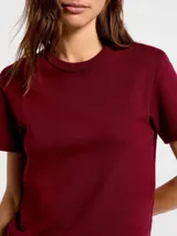 Camiseta de corte ajustado, color marrón, con cuello redondo y mangas cortas.