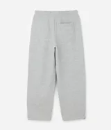 Pantalón de corte baggy confeccionado en algodón con felpa, color gris melange. Presenta cintura elástica con cordón ajustable, bolsillos laterales y bajo con regulador elástico.