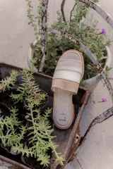 Sandalias planas de cuero marrón con tira ancha sobre el empeine. La plantilla es de cuero con la inscripción "LE".