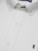 Camisa de hombre clásica de manga larga, confeccionada en 100% algodón, con diseño de rayas verticales en tonos azul, celeste y blanco, cuello abotonado y bordado sutil en el pecho.
