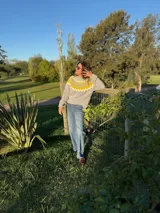 Sweater tejido a mano en mohair, de cuello redondo y manga larga. Presenta un diseño de canesú con patrón geométrico en tonos amarillo y blanco sobre una base de color marrón.