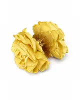 Pinza para el pelo con diseño de flores blancas grandes estilo clavel, con mecanismo de agarre tipo clip en tono beige.