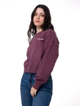 Buzo de cuello redondo color violeta, con corte relajado y mangas largas. Presenta el logo de la marca bordado en el pecho en color blanco.