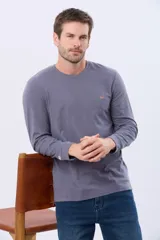 Remera manga larga lisa, color gris claro, con cuello redondo y logo bordado en el pecho.
