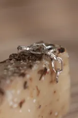 Aros colgantes plateados con forma de eslabones de cadena.