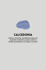 Aros de acero quirúrgico hipoalergénico con argollas plateadas y dije de piedra natural oscura.