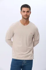 Remera manga larga lisa, color gris claro, con cuello redondo y logo bordado en el pecho.