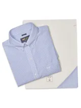 Camisa de manga larga RKF modelo Wf Pb, confeccionada en algodón con diseño de rayas finas celestes y blancas. Cuenta con cuello abotonado, cierre frontal de botones, bolsillo en el pecho con logo bordado y calce regular.