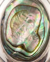 Anillo de plata con diseño ovalado que presenta una incrustación central de piedra abulón con reflejos iridiscentes.