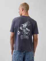 Remera de algodón con efecto lavado, color gris oscuro, de corte clásico y manga corta. Presenta un estampado gráfico en el pecho con el logo de la Copa Mundial de la FIFA USA 94.
