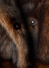 Abrigo de efecto pelo en color marrón, con diseño recto, cuello camisero, manga larga y cierre delantero con botones. Cuenta con forro interior.