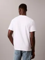 Remera Calvin Klein de manga corta y cuello redondo, color blanco, con diseño gráfico estampado del logo en el pecho.