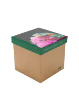 Pack de tres pares de medias de largo medio, confeccionadas en fibra de bambú y spandex, que ofrecen suavidad, frescura y propiedades antibacterianas.