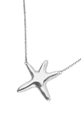 Collar largo de aleación de metales con baño de plata, compuesto por una cadena fina y un dije central con forma de estrella de mar de diseño liso y pulido.