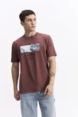 Remera de manga corta color marrón rojizo, con escote redondo y fit regular. Presenta un estampado rectangular frontal con una imagen en blanco y negro inspirada en 'La Creación de Adán' y texto debajo con la marca 'Mistral'.