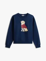Buzo de cuello redondo en color azul marino, confeccionado en mezcla de algodón y poliéster. Presenta un diseño gráfico bordado en el pecho que muestra un perro golden retriever vistiendo una chomba, con la firma de la marca debajo.