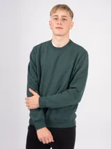 Buzo deportivo gris oscuro de algodón con felpa, cuello redondo y corte clásico.