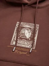 Hoodie marrón con capucha ajustable con cordón, bolsillo tipo canguro frontal y estampado gráfico central en estilo vintage.