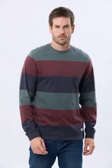 Remera de manga larga con diseño de franjas horizontales en tonos verde militar, bordó y azul marino, con cuello redondo y pequeño texto estampado en el pecho.