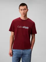 Remera de manga corta y cuello redondo, confeccionada en tejido de punto de algodón. Presenta un estampado gráfico en el pecho con el logo de la marca en estilo cursivo.